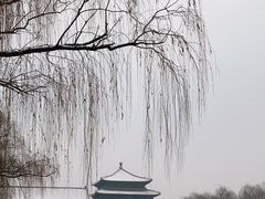 -故宫博物院(故宫)