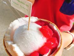 -Co+Nut+Ink(圣淘沙店)