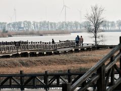 -野鸭湖国家湿地公园