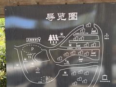 -杨家堂村