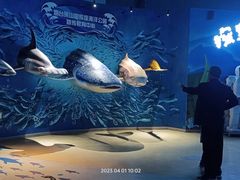 -烟台海昌鲸鲨海洋公园