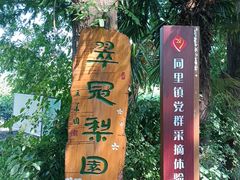 -同里国家湿地公园