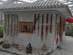 -南和农业嘉年华