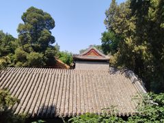 -颐和园