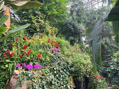 -郑州植物园