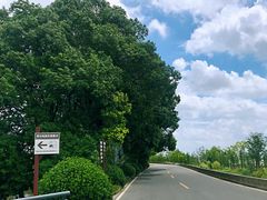 景点-双山岛风景区