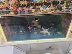 -风云再起游乐汇(北京西单西西友谊店)