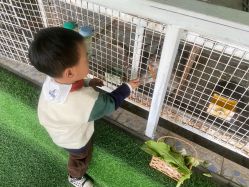 -可可天空农场(东部新城银泰店)