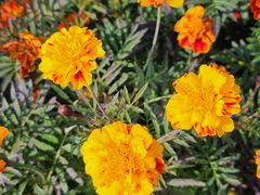 -云峰山自然风景区