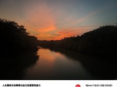 -海珠湖公园