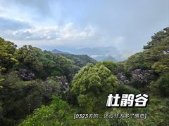 -梧桐山风景名胜区