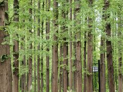 -河南省黄河迎宾馆