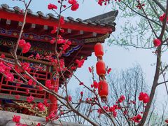 -渭南桃花源民俗文化园