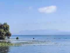 -大理洱海