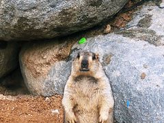 -泉州海丝野生动物世界