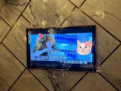-堂会·KTV·自助餐·团建聚会(天河店)