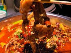 -宽口美蛙鱼头(大唐西市店)