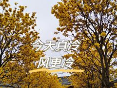 -光孝寺