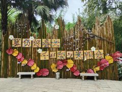 -柳州市动物园