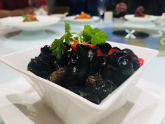 -张生记(丁香国际店)