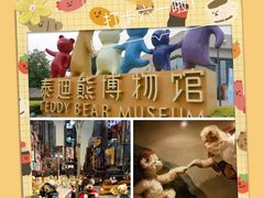 -成都泰迪熊博物馆