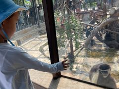 -灵玲国际马戏城