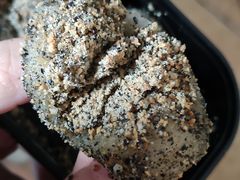 -叶氏麻糍(鼓浪屿店)