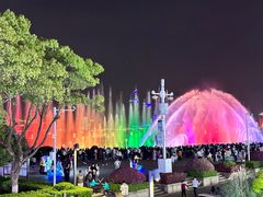 -秋水广场音乐喷泉