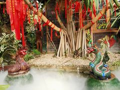 -呀路古热带植物园
