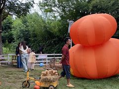 -HERRE·FARM 赫尔露营农场·团建聚会包场