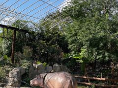 -上海野生动物园