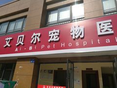 -艾贝尔宠物医院 ·内科全科(梁溪路店)
