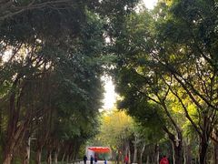 -深圳国际园林花卉博览园