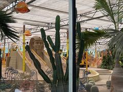 -南宫五洲植物乐园