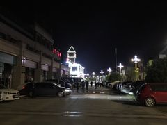 -小李子油焖大虾(天下城旗舰店)