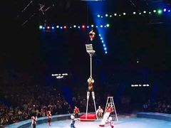 -珠海横琴长隆《卡卡虎奇遇记》