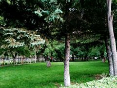 -黑龙江中医药大学