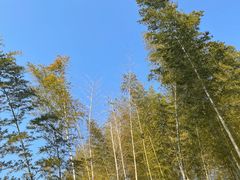 -四明湖