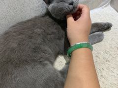 -藏猫猫咖啡主题馆(中央大道店)