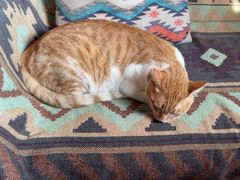 -哈尔滨北方国际青年旅舍(中央大街店)