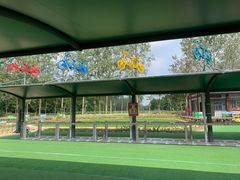 -合肥滨湖国家森林公园