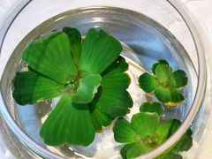 -汉唐宴长安食府