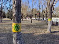 -莲花池公园