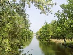 -梁鸿国家湿地公园