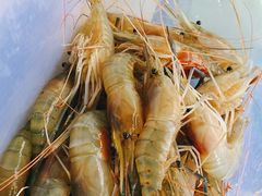 -小象钓虾·营地烧烤(洛溪店)