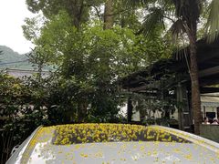 -中国茶叶博物馆(双峰馆区)