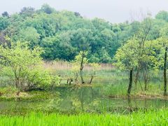 -西湖风景区-江洋畈生态公园