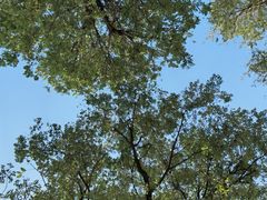 -汉长安城未央宫国家考古遗址公园