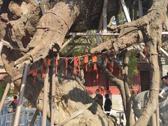 -宋太祖黄袍加身处文管所