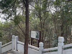 -云龙山